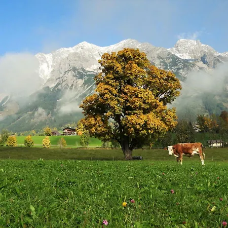 Eggerhof Lägenhet Ramsau am Dachstein