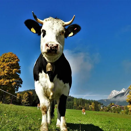 Eggerhof * Ramsau am Dachstein