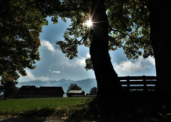 Lejlighed Eggerhof Ramsau am Dachstein