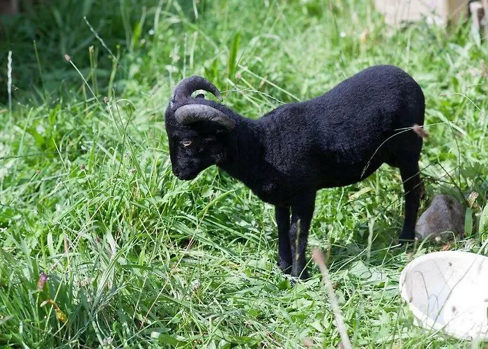 Eggerhof * Ramsau am Dachstein