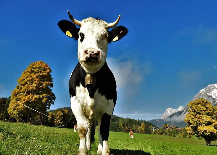 Eggerhof * Ramsau am Dachstein